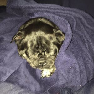 Meet your Posher, Edward